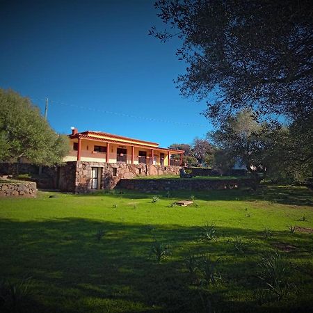 Agriturismo Conca' E Janas Dorgali Extérieur photo