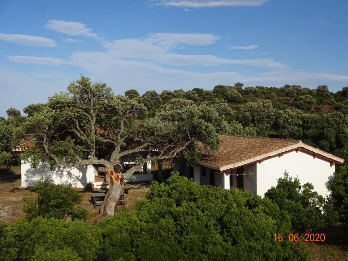 Agriturismo Conca' E Janas Dorgali Extérieur photo