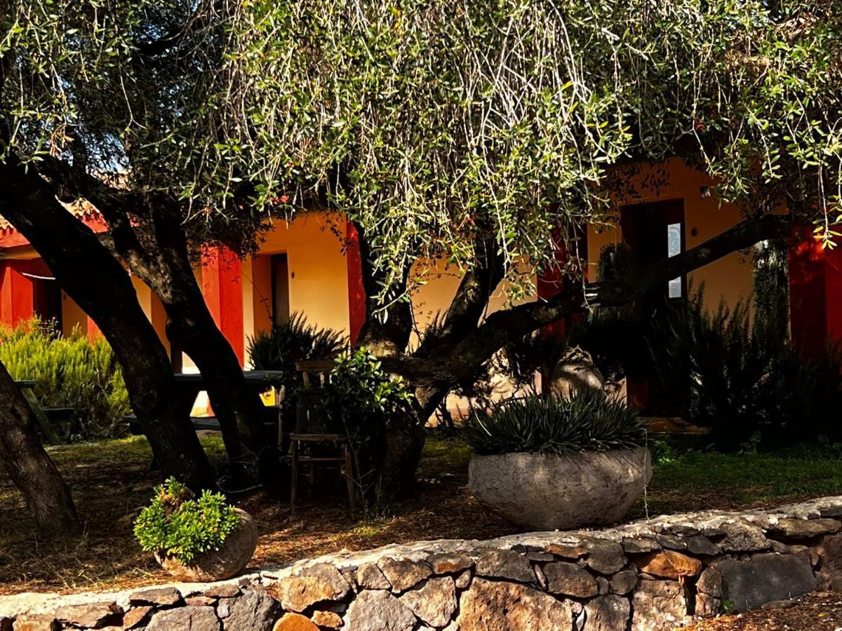 Agriturismo Conca' E Janas Dorgali Extérieur photo