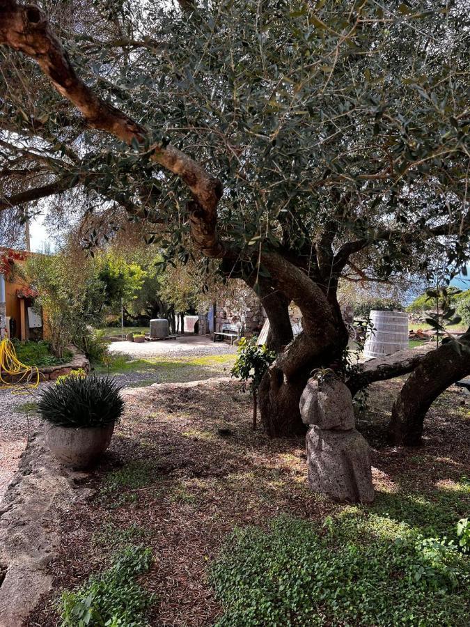 Agriturismo Conca' E Janas Dorgali Extérieur photo