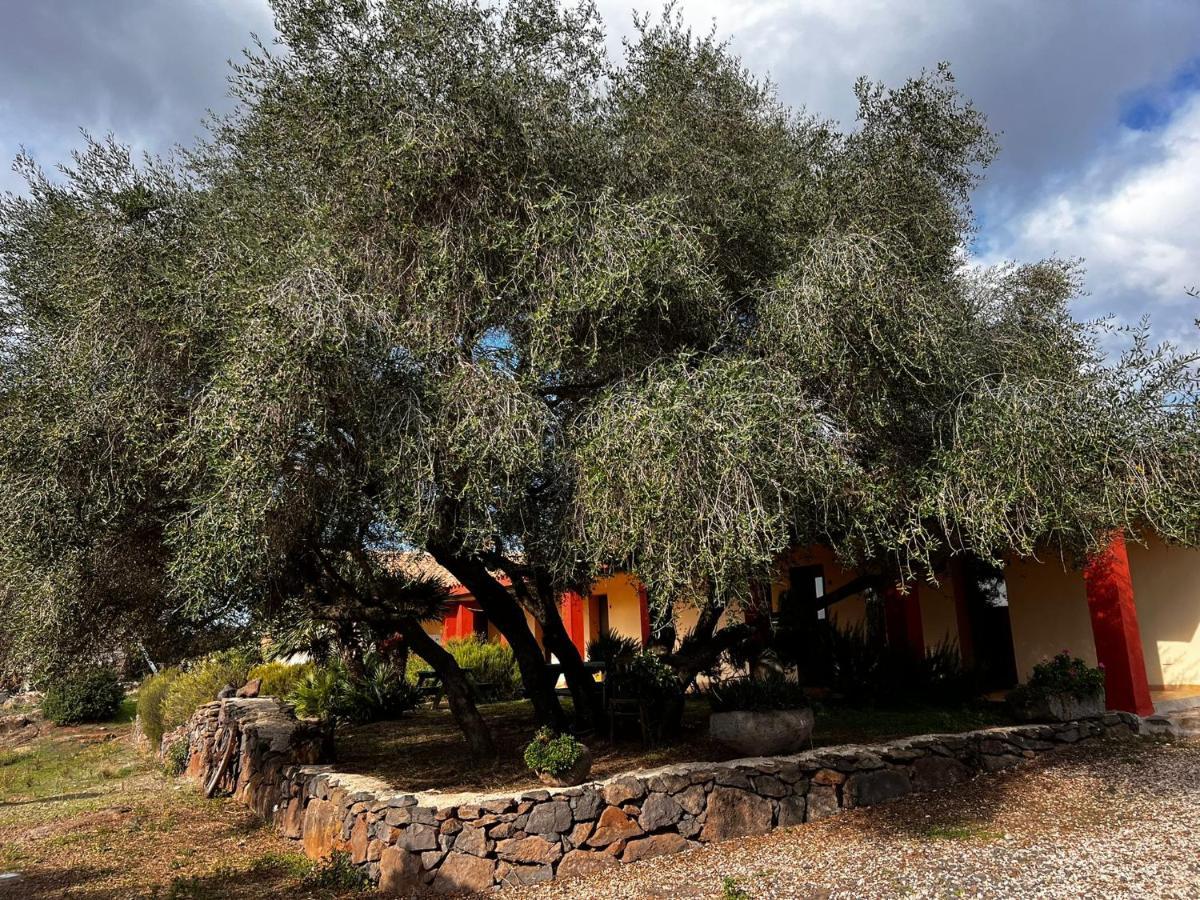 Agriturismo Conca' E Janas Dorgali Extérieur photo