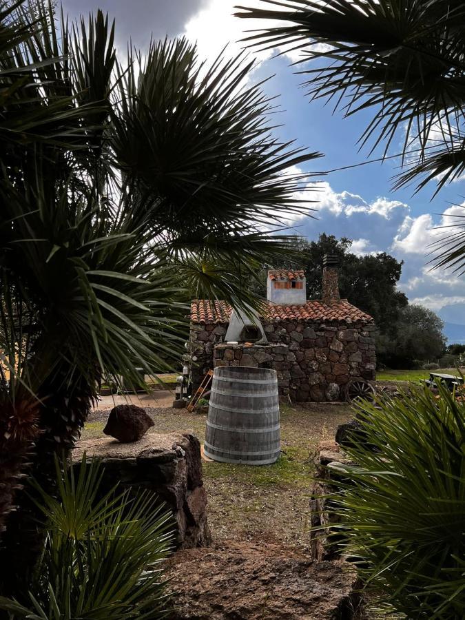 Agriturismo Conca' E Janas Dorgali Extérieur photo