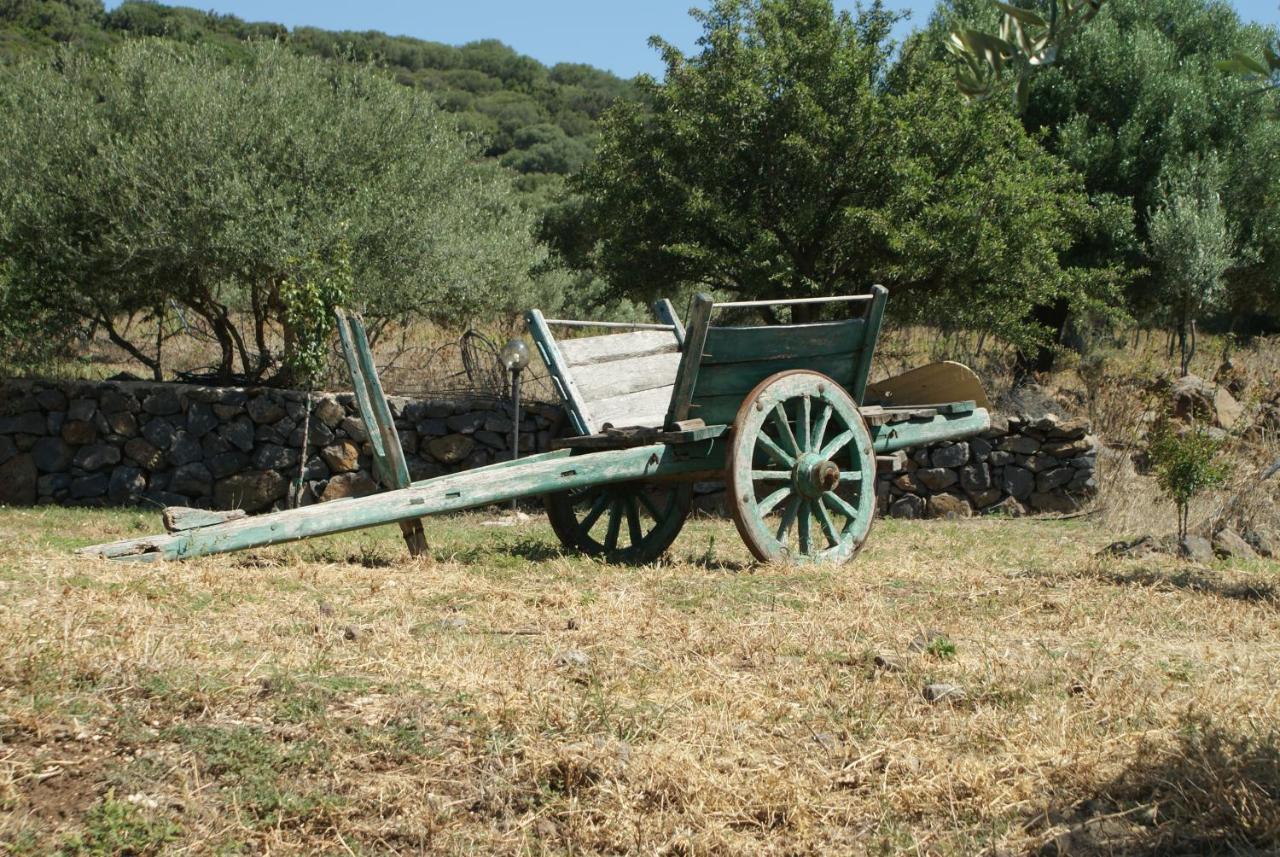 Agriturismo Conca' E Janas Dorgali Extérieur photo