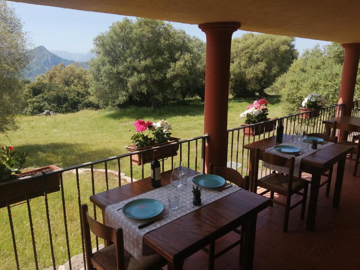 Agriturismo Conca' E Janas Dorgali Extérieur photo