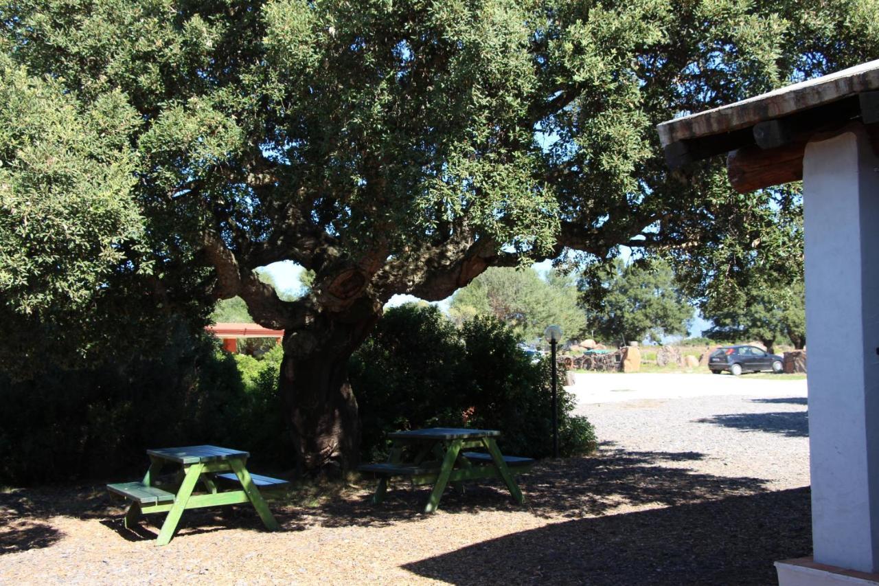 Agriturismo Conca' E Janas Dorgali Extérieur photo